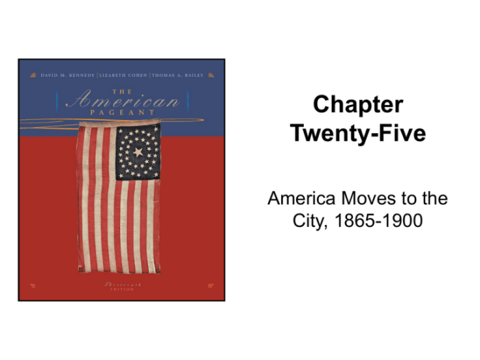 American pageant chapter 25 notes