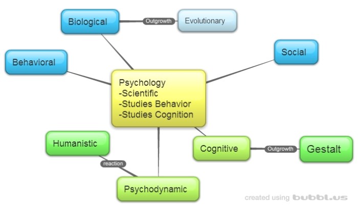 Ap psych social psychology vocab