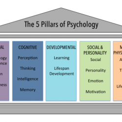 Ap psych social psychology vocab