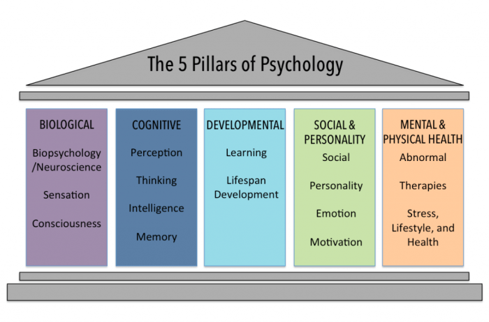 Ap psych social psychology vocab