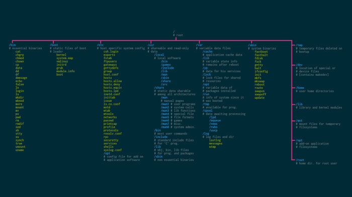 Lab 3-1 linux terminal navigation