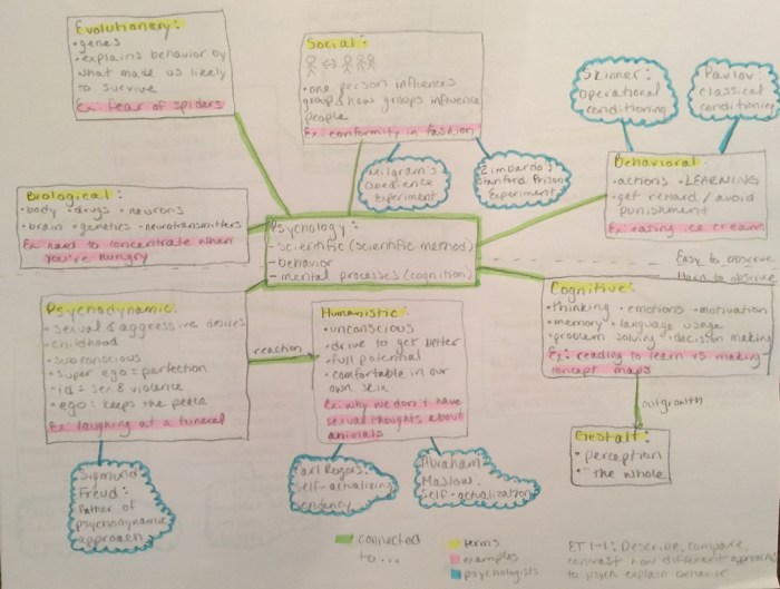 Psychology spencer homework ap unit social