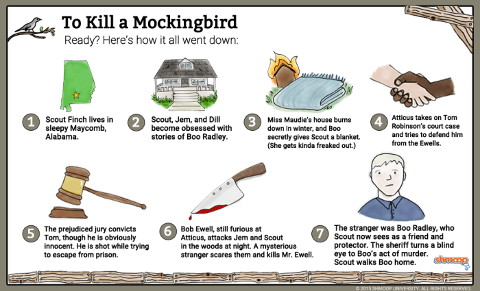 Mockingbird kill chapter chapters quiz cliff notes mocking bird