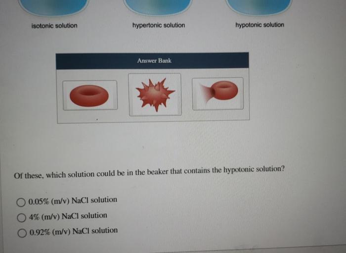 Which microscopic field contains a hypertonic solution