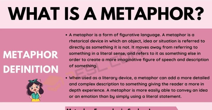 Metaphor quotes metaphors movie examples famous quotesgram meaning