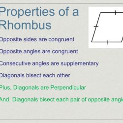 Properties of rhombi and squares worksheet answers