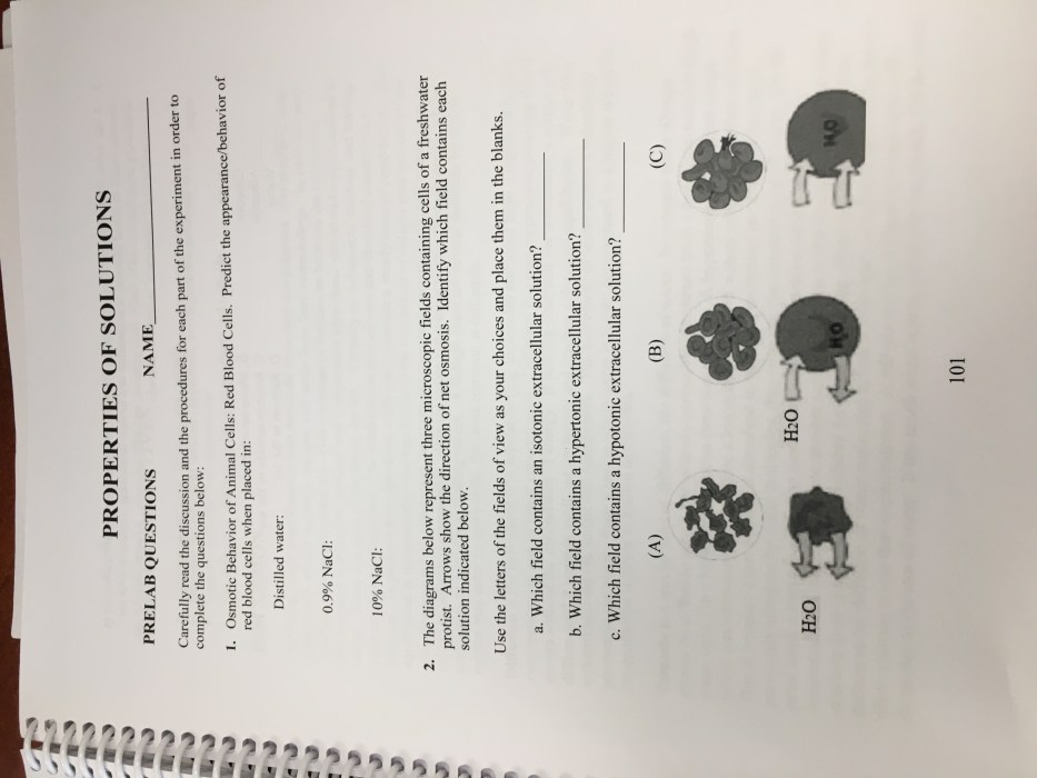 Hypotonic hypertonic slidetodoc